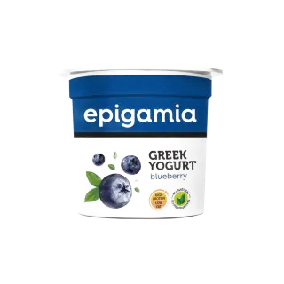 Epigamia Blueberry 85 g