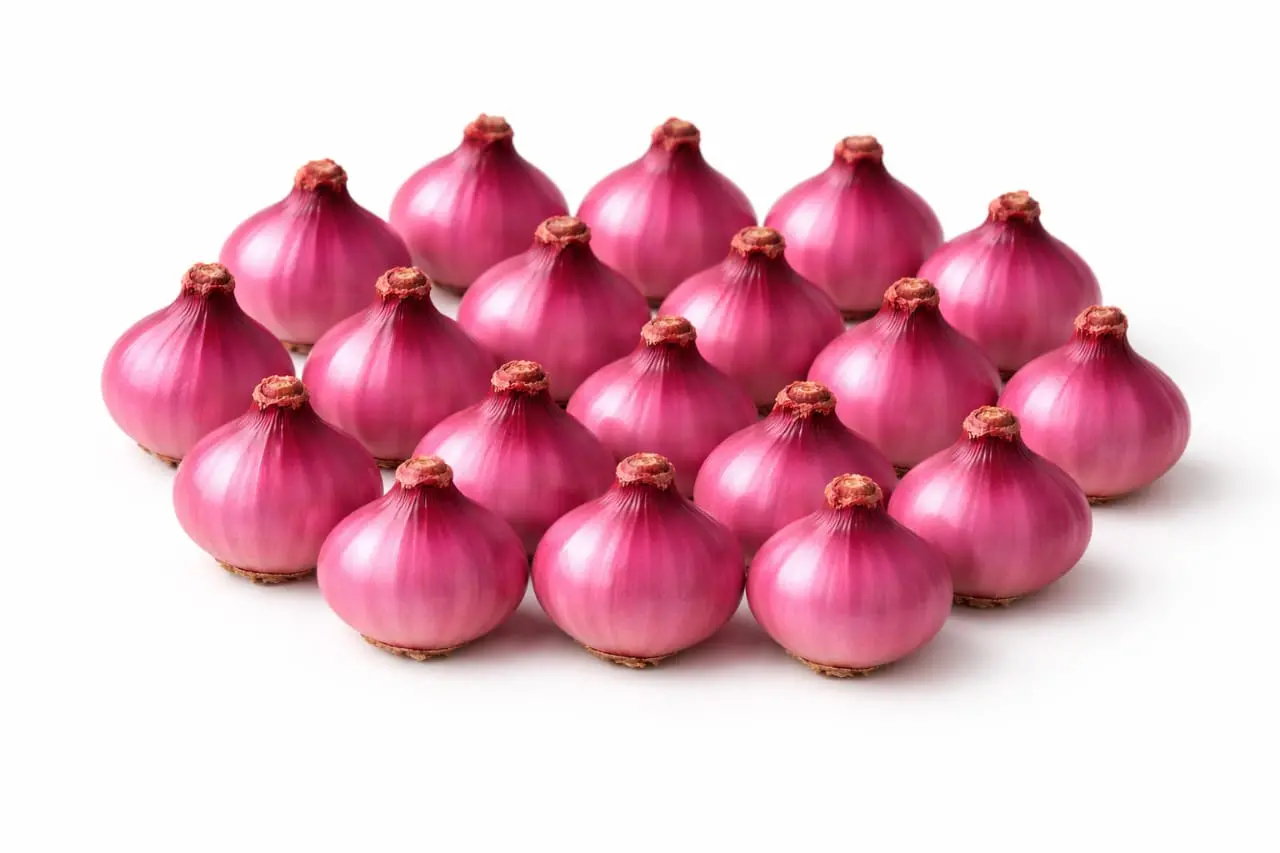ONION SIRKA 1KG