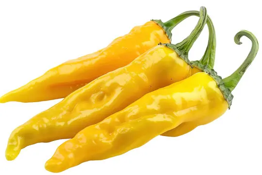 AJII AMARLILLO CHILL YELLOW200-250GM