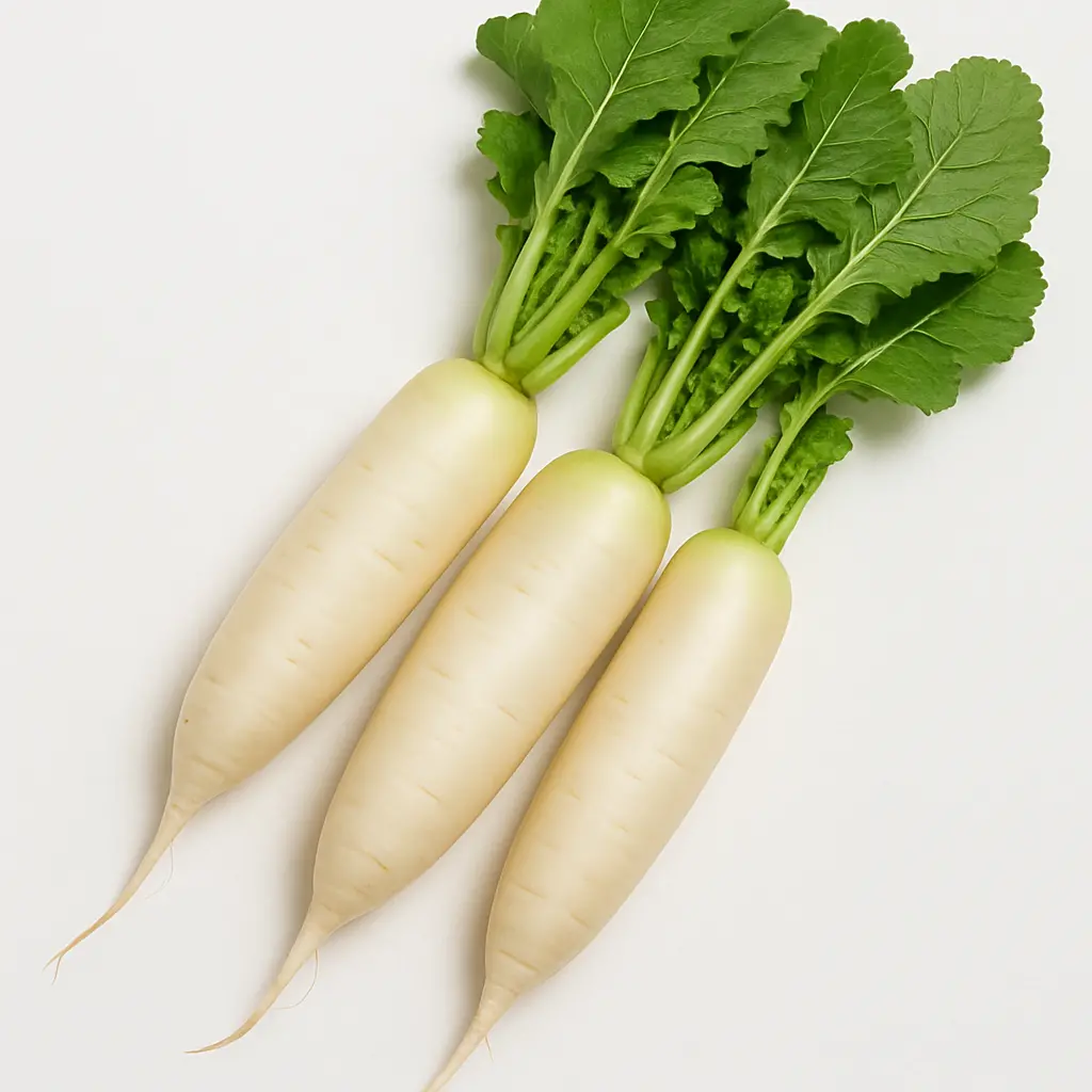 RADISH A GRADE 450-500GM