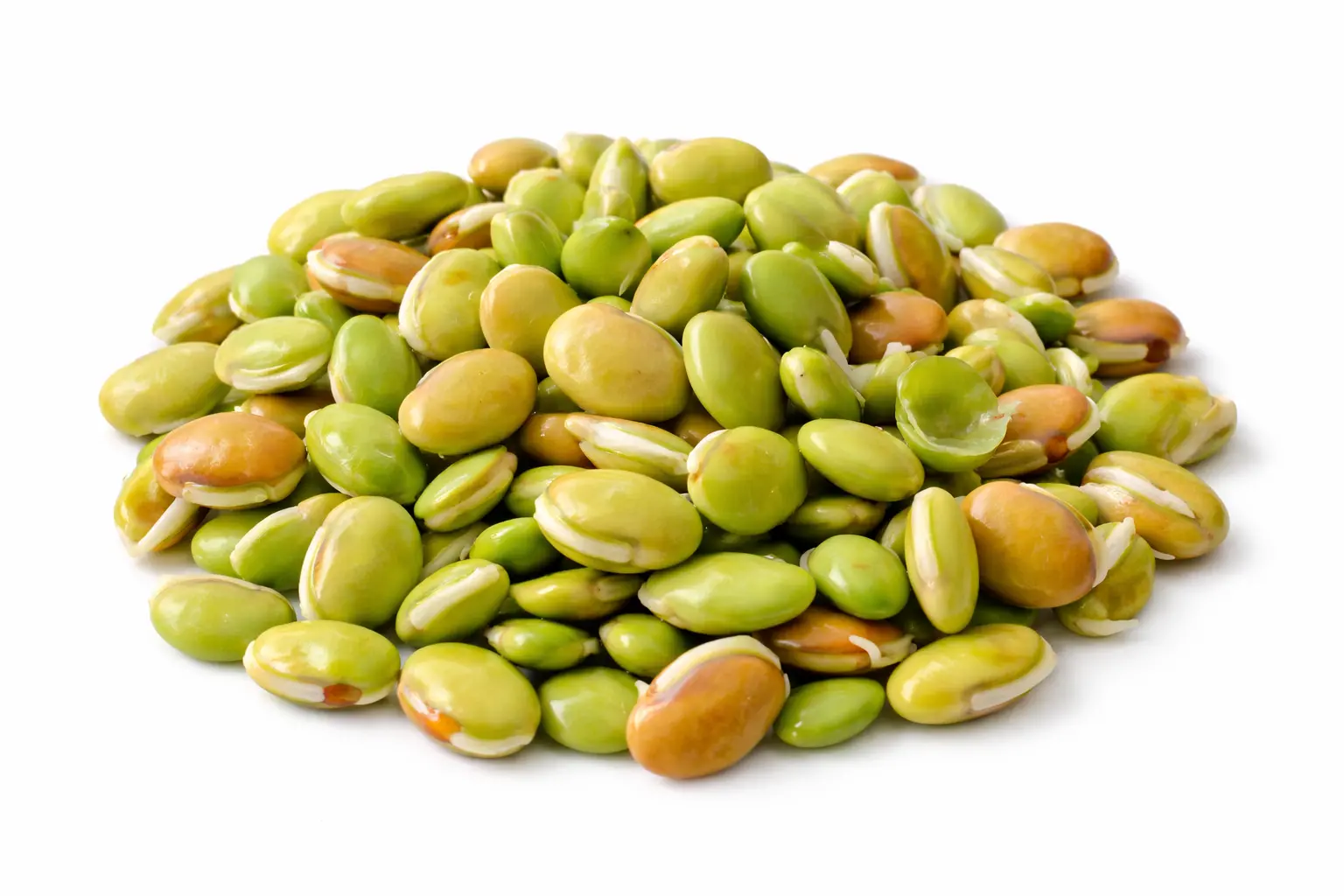 Sem Dana A Grade (Hyacinth Bean Seeds)