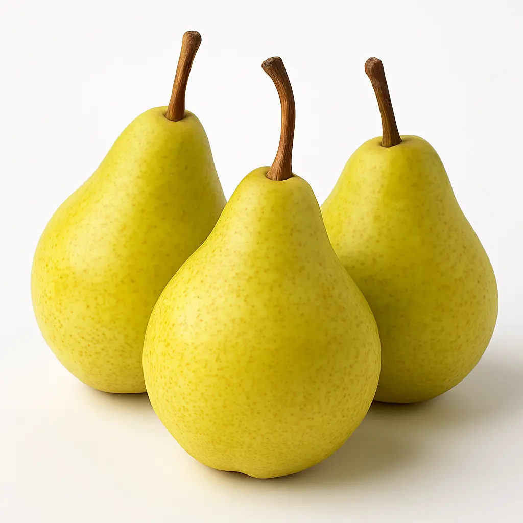 PEAR I.M.P. (TENCHY) A GRADE  550-600GM
