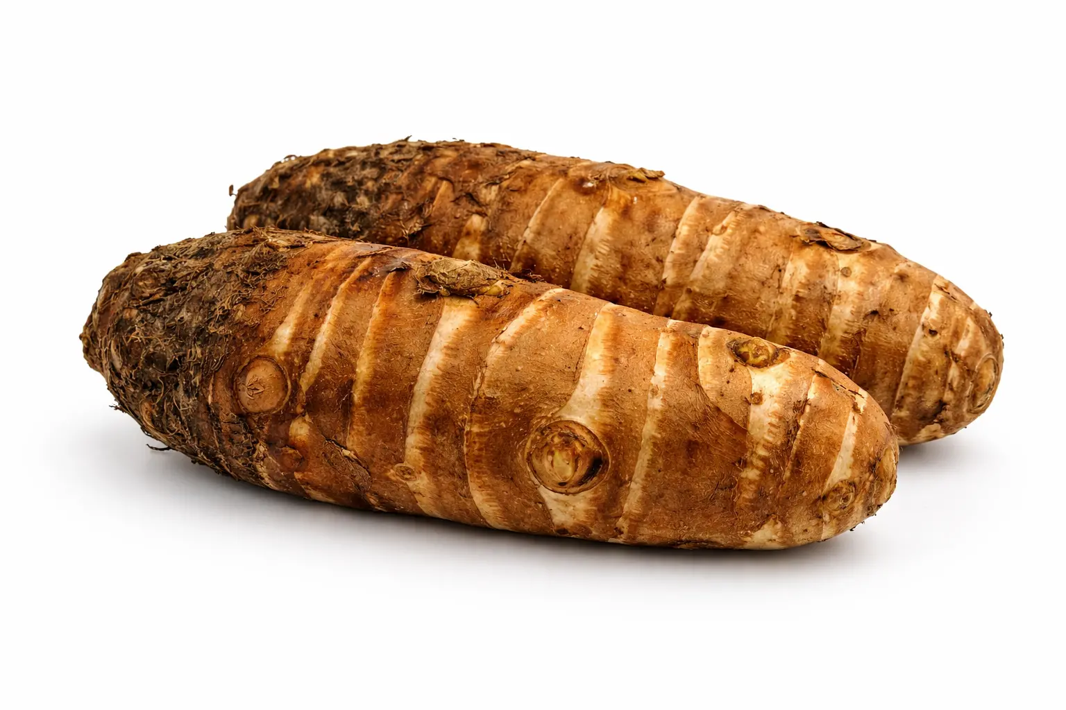 RATALU A GRADE 600-700GM