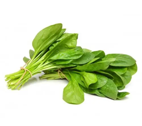 KASHMIRI PALAK 450-500GM